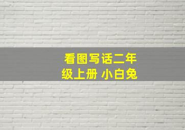 看图写话二年级上册 小白兔